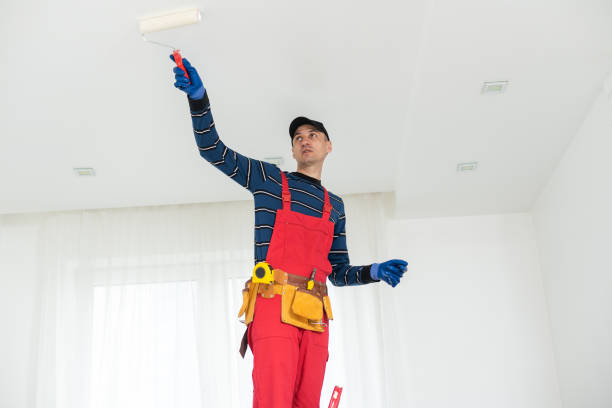 Best Drywall Removal and Disposal  in Livonia, MI