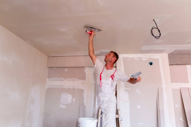 Best Drywall for New Construction  in Livonia, MI